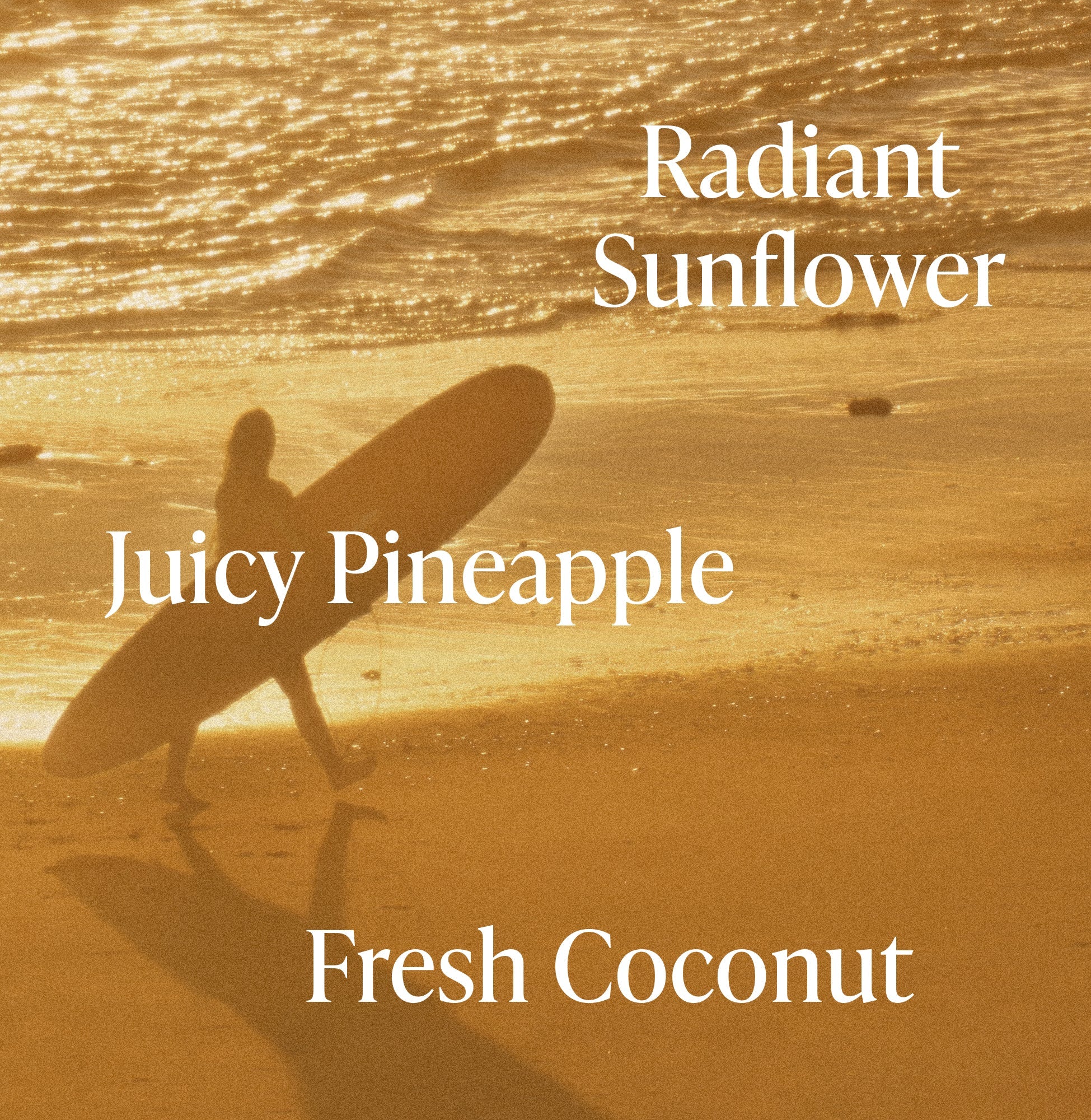Golden Hour - Body Rituals Set