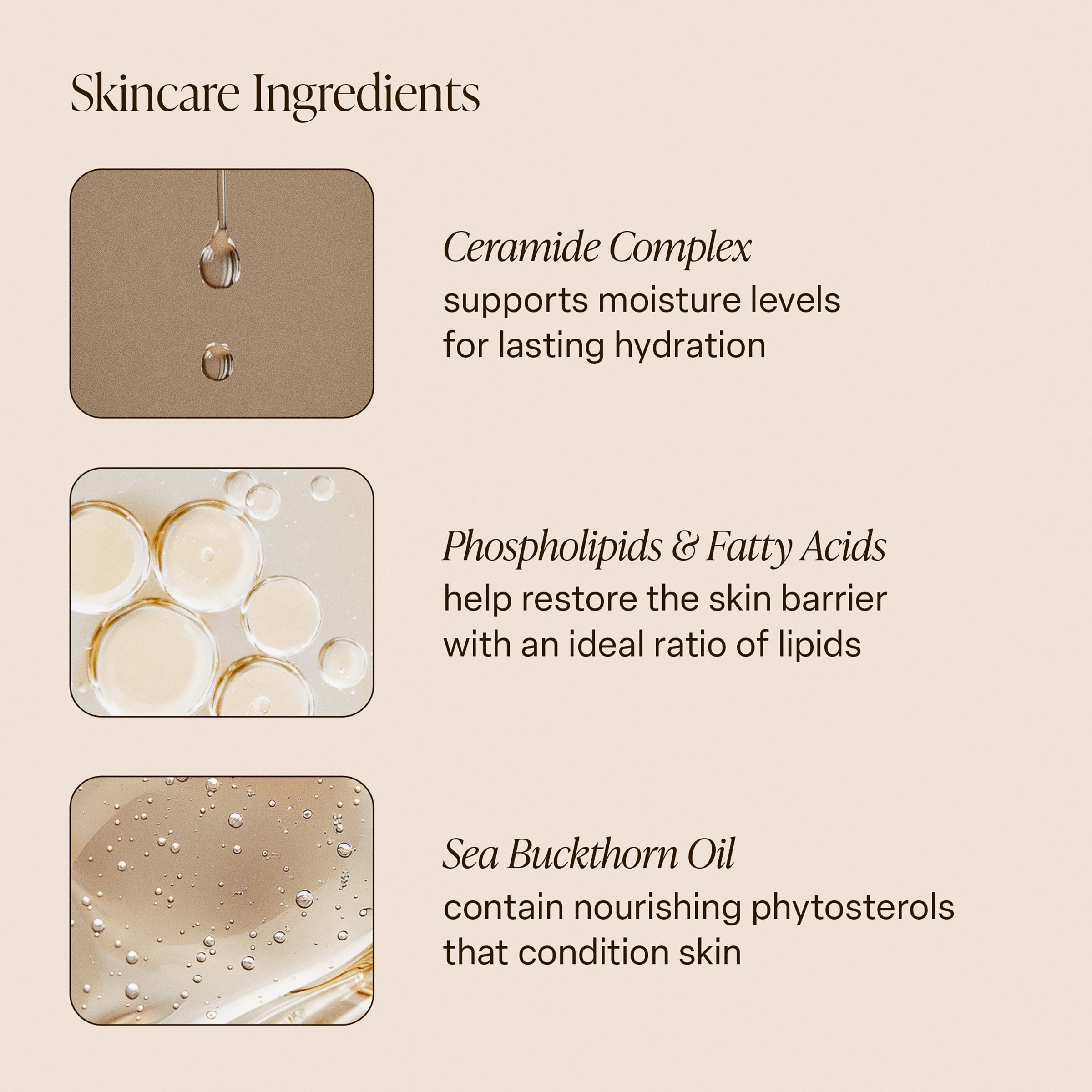 Shea Soleil - Body Butter