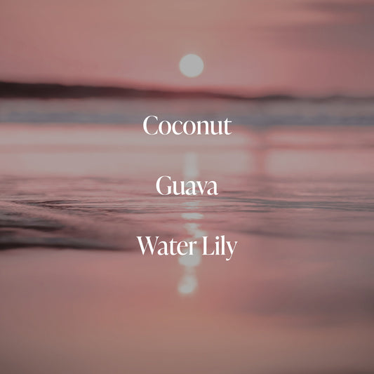 Coral Coast - Essentials Set