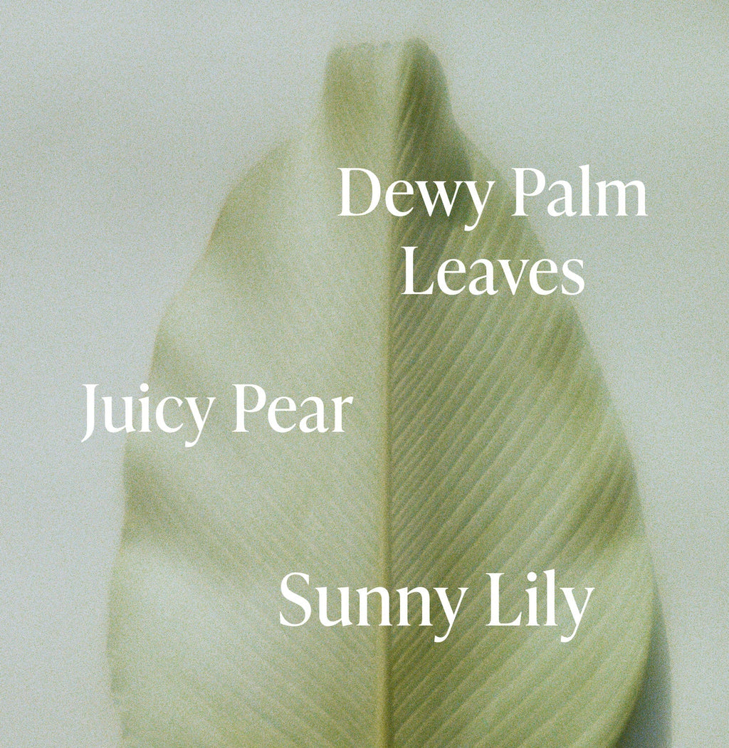 Lush Greens - Travel Size Body Wash