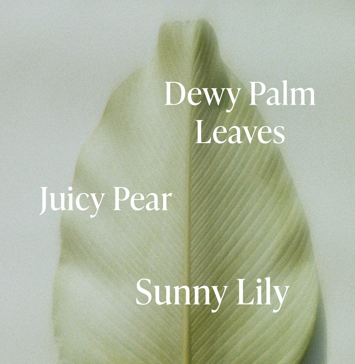 Lush Greens - Travel Size Body Lotion